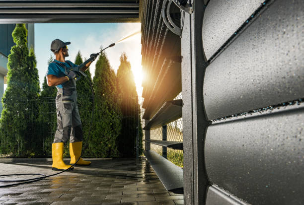 Best Graffiti Removal  in Seeley, CA